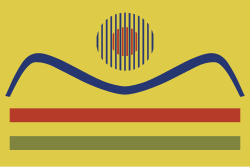 Bandera del Municipio Angostura del Orinoco